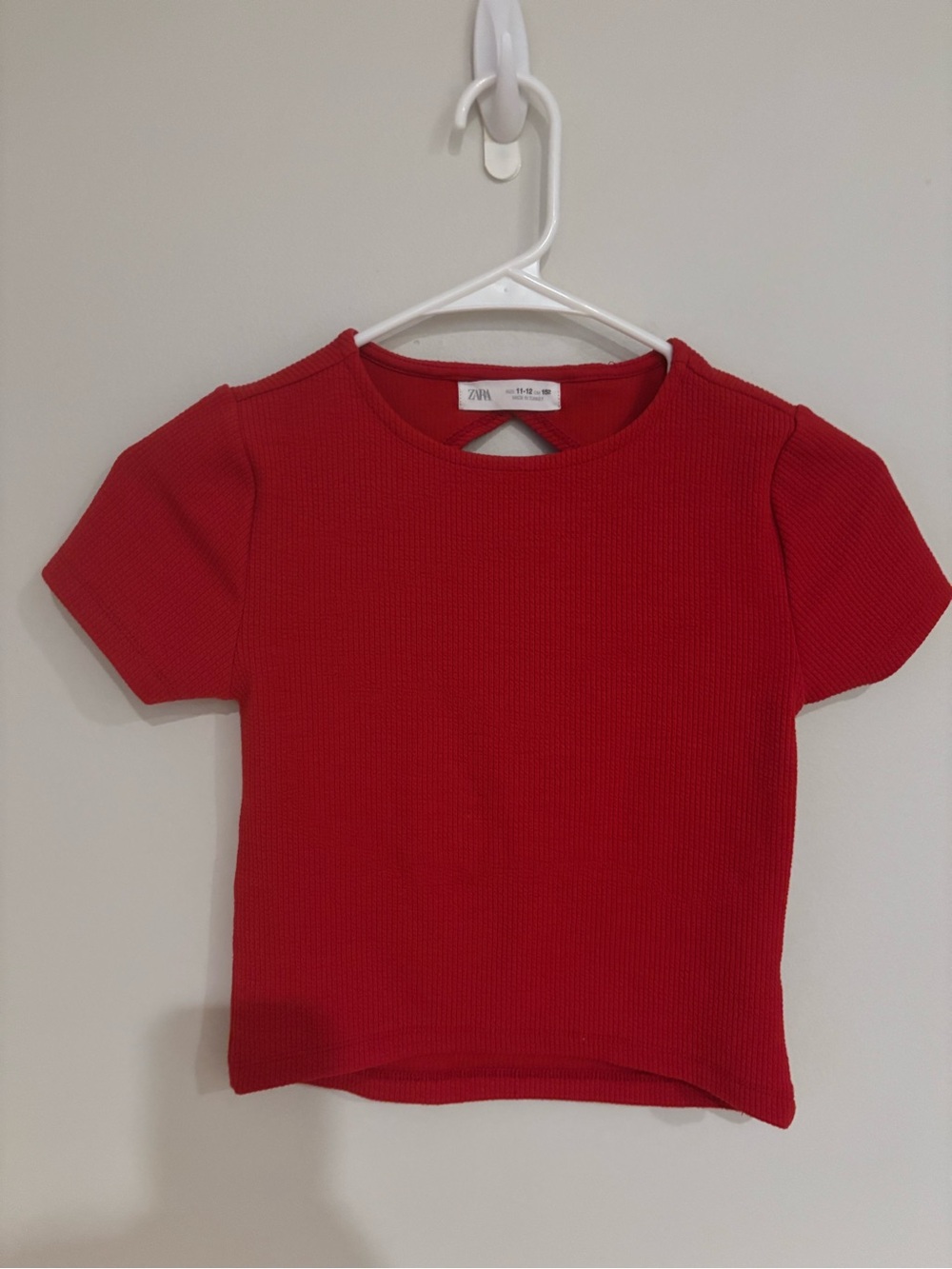 Zara crop top
